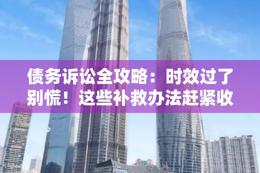 深圳债务诉讼全攻略：时效过了别慌！这些补救办法赶紧收藏
