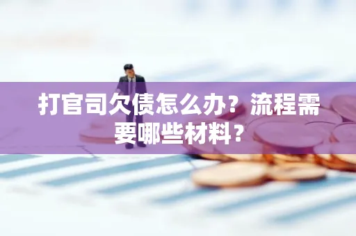 深圳打官司欠债怎么办？流程需要哪些材料？